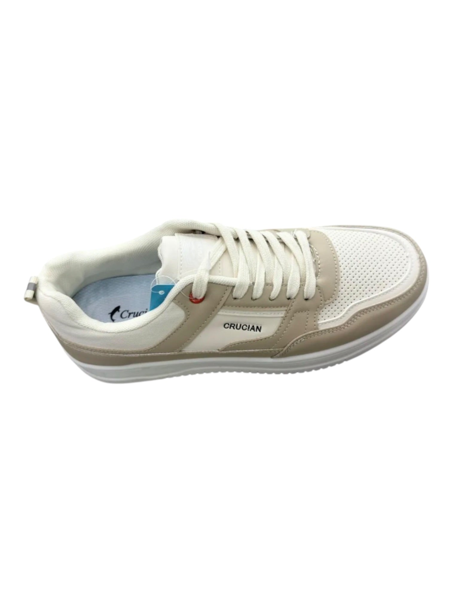 Scarpa elegante sportiva con allaccio 2