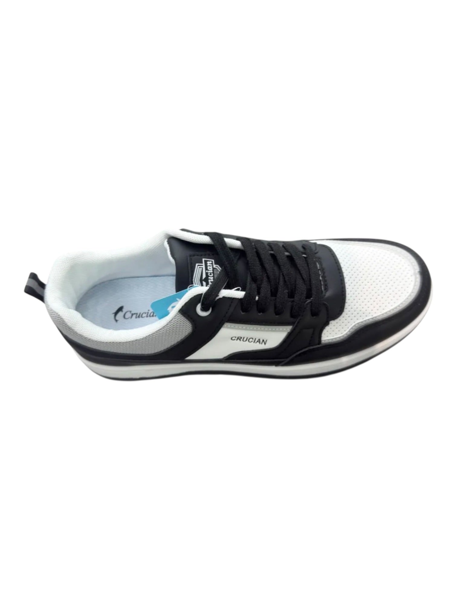 Scarpa elegante sportiva con allaccio 2